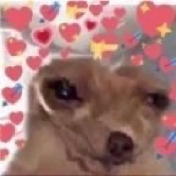 Meet your Posher, Alec - Picture 1 of 1